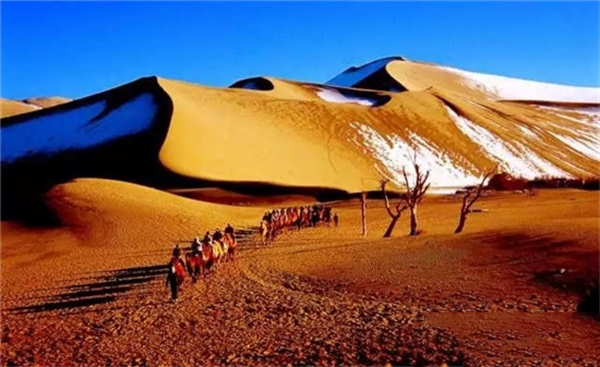 jdb电子游戏(中国)官方网站