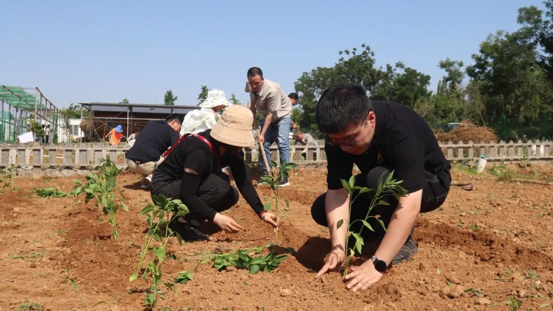 jdb电子游戏(中国)官方网站
