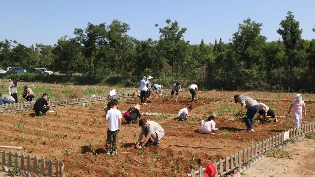jdb电子游戏(中国)官方网站