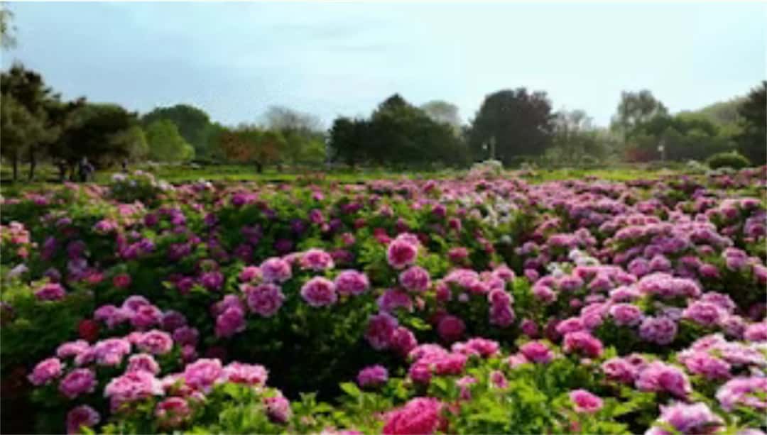 jdb电子游戏(中国)官方网站