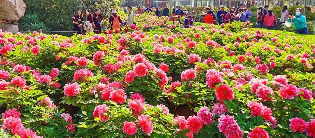 jdb电子游戏(中国)官方网站