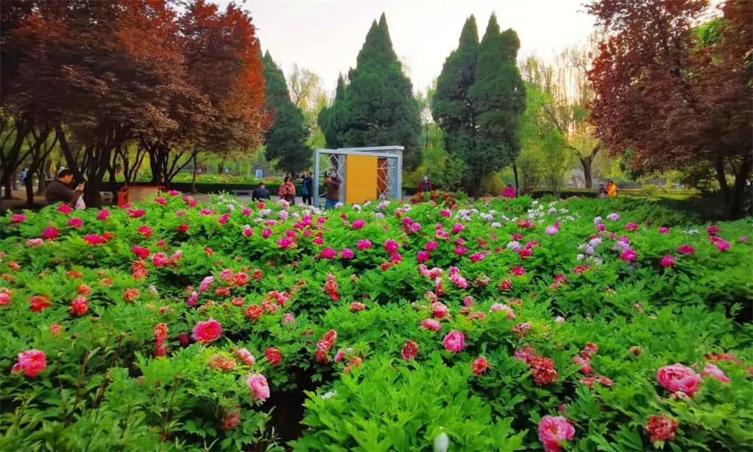 jdb电子游戏(中国)官方网站