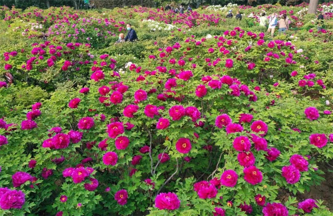 jdb电子游戏(中国)官方网站