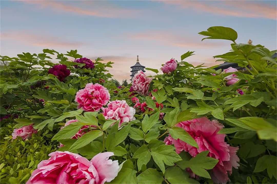 jdb电子游戏(中国)官方网站