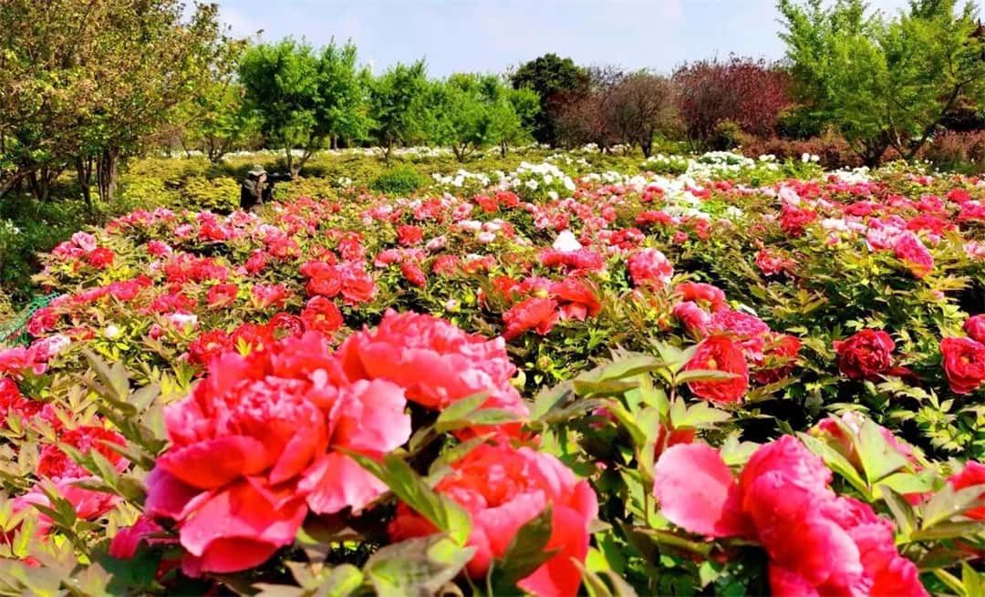 jdb电子游戏(中国)官方网站