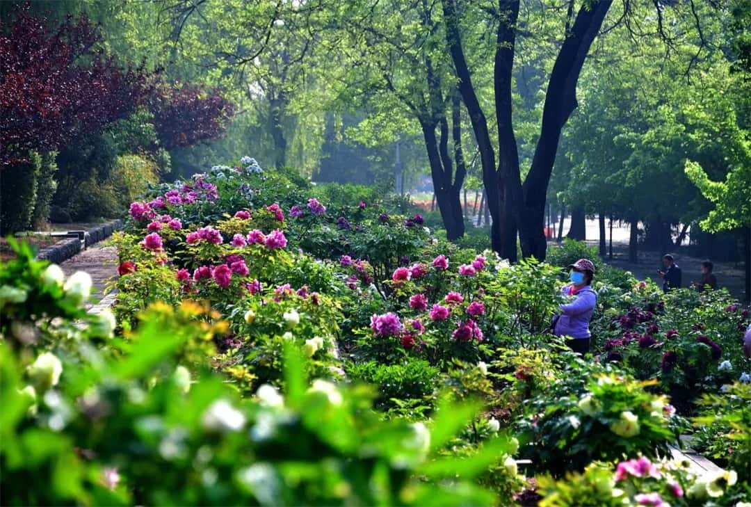 jdb电子游戏(中国)官方网站