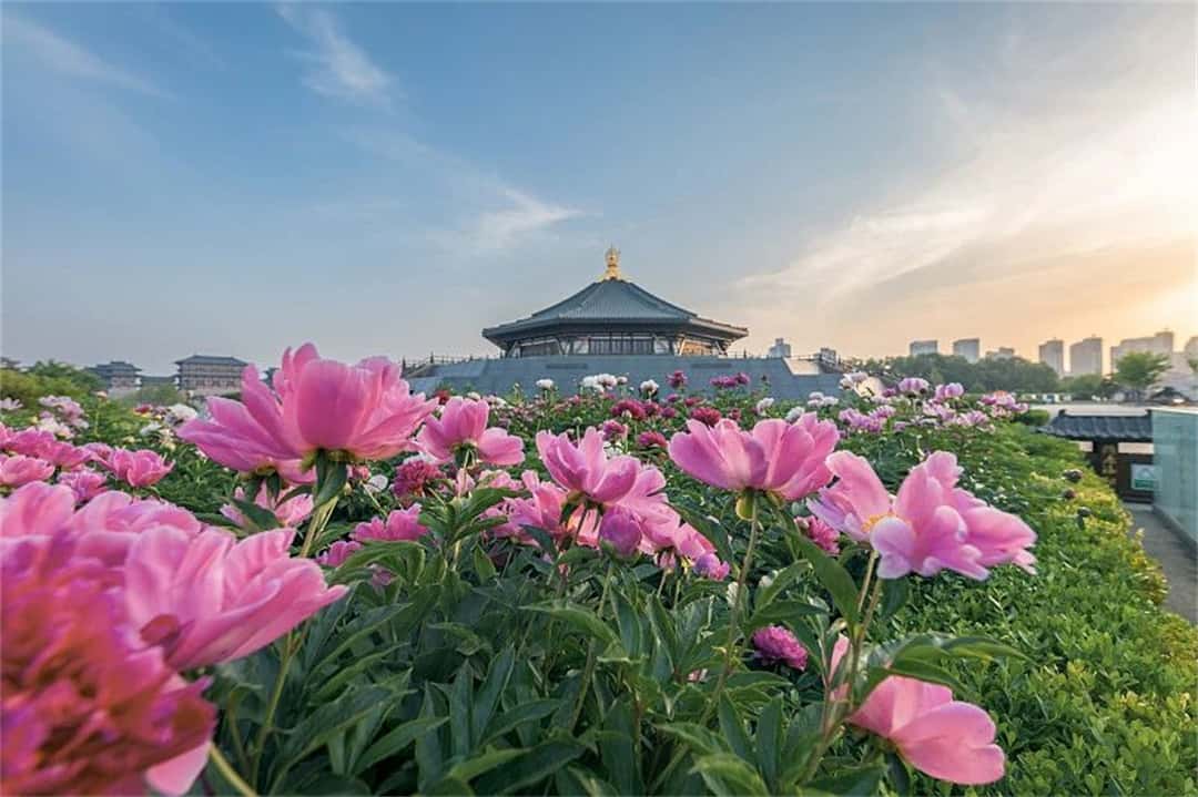 jdb电子游戏(中国)官方网站