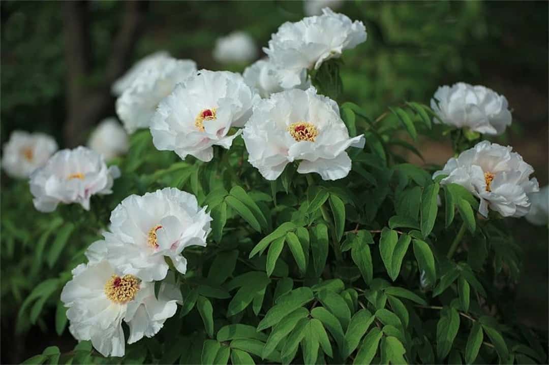 jdb电子游戏(中国)官方网站