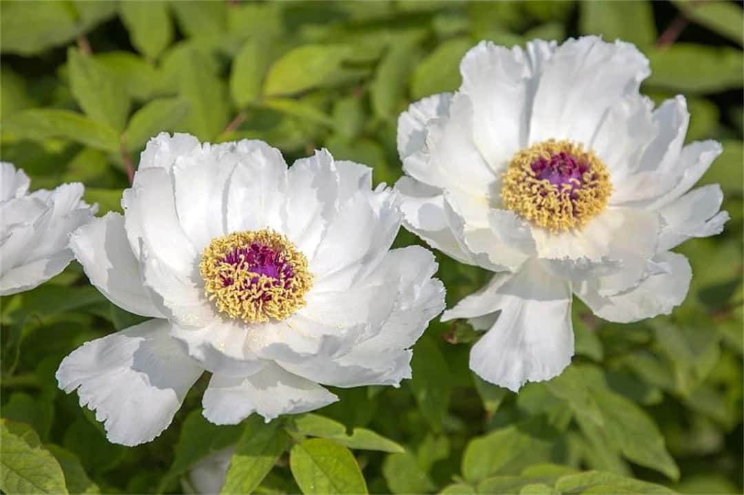 jdb电子游戏(中国)官方网站